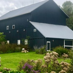 A black barn with flowers in the foreground.